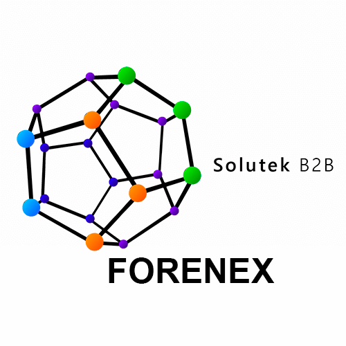 instalación de monitores Forenex