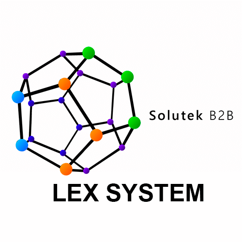 instalación de monitores Lex System